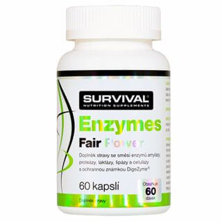 Enzymes Fair Power Survival